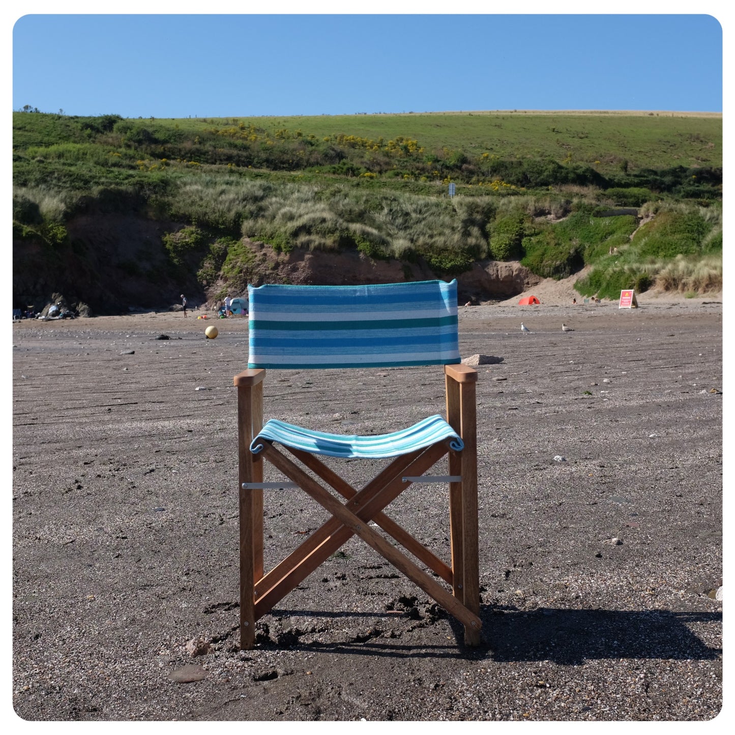 Botanic Mango Wood Folding Premium Director's Chair